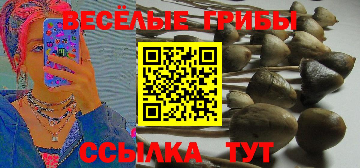 Псилоцибиновые грибы Magic Shrooms  Галлюциногенные грибы Psilocybe  Кубинка  Вход с VPN 